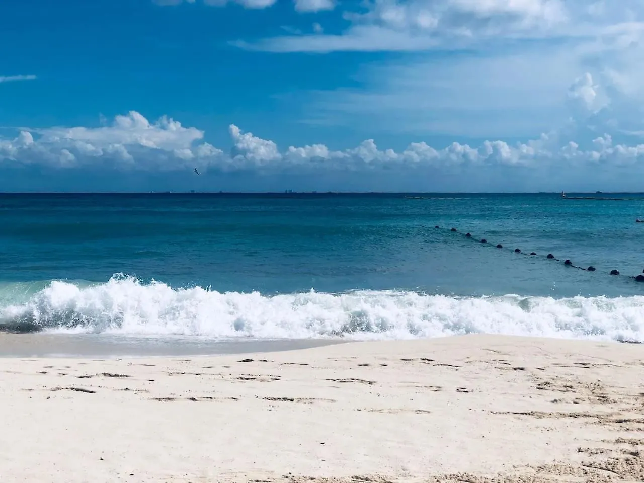 アパート Stylish Studio Steps From 5Th Ave And Beach プレヤデルカーメン メキシコ